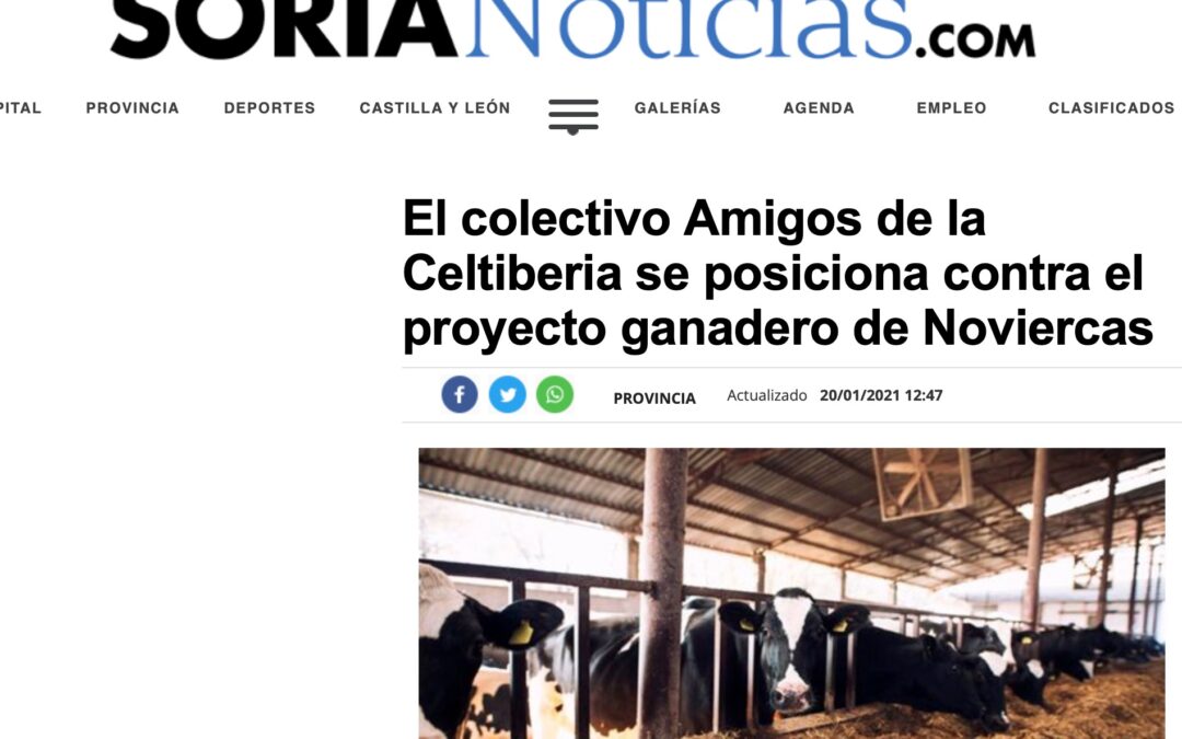 El colectivo Amigos de la Celtiberia se posiciona contra el proyecto ganadero de Noviercas